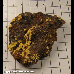 Mineral Specimen: Mimetite from Chihuahua, Mexico Mineral Specimen: Mimetite from Chihuahua, Mexico