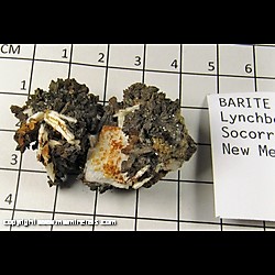 Mineral Specimen: Barite from Lynchberg Tunnel, Socorro Co., New Mexico