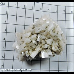 Mineral Specimen: Pyrite on Dolomite from Shangbao Mine, Hunan, China Mineral Specimen: Pyrite on Dolomite from Shangbao Mine, Hunan, China