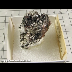 Minerals Specimen: Huebnerite from Adams Mine, San Juan Co, Colorado Minerals Specimen: Huebnerite from Adams Mine, San Juan Co, Colorado