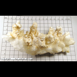 Mineral Specimen: Calcite from Chihuahua, Mexico Mineral Specimen: Calcite from Chihuahua, Mexico