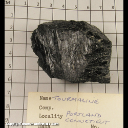 Mineral Specimen: Schorl Tourmaline from Portland, Middlesex Co., Connecticut