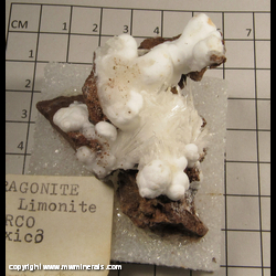 Minerals Specimen: Aragonite on Limonite from Chihuahua, Mexico Minerals Specimen: Aragonite on Limonite from Chihuahua, Mexico