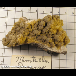 Mineral Specimen: Mimetite from Durango, Mexico Mineral Specimen: Mimetite from Durango, Mexico