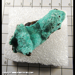 Mineral Specimen: Aurichalcite from Chihuahua, Mexico