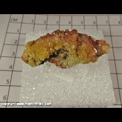 Minerals Specimen: Mimetite from Chihuahua, Mexico Minerals Specimen: Mimetite from Chihuahua, Mexico