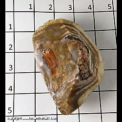 Mineral Specimen: Chert, Red from Hell, Livingston Co., Michigan