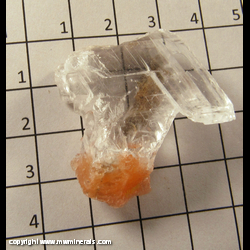 Mineral Specimen: Selenite and Red Gypsum from Michigan Cold Storage, Wyoming, Kent Co,  Michigan