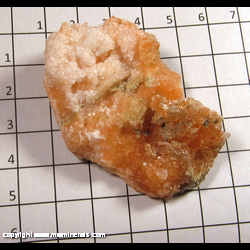 Mineral Specimen: Gypsum varieties: Sugar, Selenite, Red from Michigan Cold Storage, Wyoming, Kent Co, Michigan Mineral Specimen: Gypsum varieties: Sugar, Selenite, Red from Michigan Cold Storage, Wyoming, Kent Co, Michigan