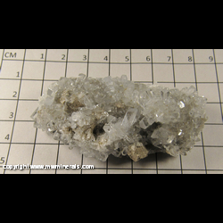 Mineral Specimen: Celestine from Maybee, Monroe Co, Michigan Mineral Specimen: Celestine from Maybee, Monroe Co, Michigan