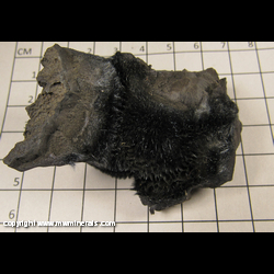 Minerals Specimen: Psilomelane variety: Rats Hair from Socorro Co., New Mexico Minerals Specimen: Psilomelane variety: Rats Hair from Socorro Co., New Mexico