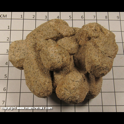 Mineral Specimen: Sand Calcite (with plant stem) from Rattlesnake Butte, Jackson Co, South Dakota Mineral Specimen: Sand Calcite (with plant stem) from Rattlesnake Butte, Jackson Co, South Dakota
