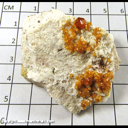 Mineral Specimen: Spessartine Garnet, K-Feldspar from Tongbei, Fujian, China