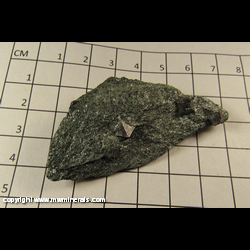 Minerals Specimen: Magnetite in Chlorite Schist from Chester, Windsor Co., Vermont Minerals Specimen: Magnetite in Chlorite Schist from Chester, Windsor Co., Vermont