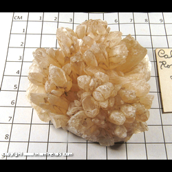 Mineral Specimen: Calcite from Rosiclare, Hardin Co., Illinois