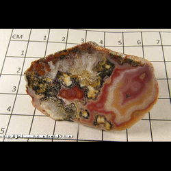 Mineral Specimen: Agate from Chihuahua, Mexico Mineral Specimen: Agate from Chihuahua, Mexico