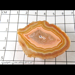 Mineral Specimen: Agate, Coyamito from Chihuahua, Mexico