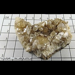 Mineral Specimen: Calcite, 2 Generations from Irving Materials Quarry, Anderson, Madison Co., Indiana