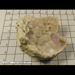 Mineral Specimen: Amethyst Scepter in Sonito Geode from Sonora, Mexico Mineral Specimen: Amethyst Scepter in Sonito Geode from Sonora, Mexico