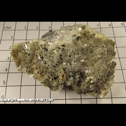 Minerals Specimen: Goethite on Calcite from from a coal strip mine near Knoxville, Marion Co, Iowa Minerals Specimen: Goethite on Calcite from from a coal strip mine near Knoxville, Marion Co, Iowa