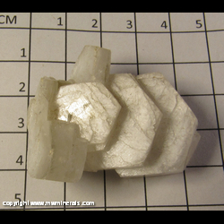 Mineral Specimen: Calcite variety: Poker Chip from Charcas, San Luis Potosi, Mexico Mineral Specimen: Calcite variety: Poker Chip from Charcas, San Luis Potosi, Mexico