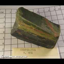 Mineral Specimen: Serpentine (dull polish) from New Mexico Mineral Specimen: Serpentine (dull polish) from New Mexico