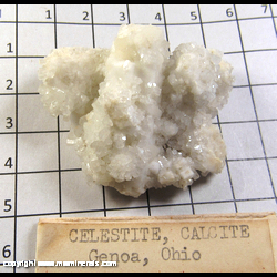 Mineral Specimen: Celestine, Calcite from Genoa, Wood Co., Ohio Mineral Specimen: Celestine, Calcite from Genoa, Wood Co., Ohio