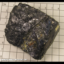 Mineral Specimen: Bornite, Pyrite from Butte, Silver Bow Co, Montana Mineral Specimen: Bornite, Pyrite from Butte, Silver Bow Co, Montana