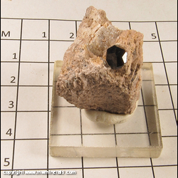 Mineral Specimen: Garnet, Quartz in Rhyolite from Garnet Hill, Ely, Robinson District, White Pine Co, Nevada Mineral Specimen: Garnet, Quartz in Rhyolite from Garnet Hill, Ely, Robinson District, White Pine Co, Nevada