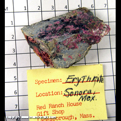 Mineral Specimen: Erythrite from Sara Alicia Mine, San Bernardo, Mun. de Alamos, Sonora, Mexico
