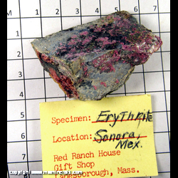 Mineral Specimen: Erythrite from Sara Alicia Mine, San Bernardo, Mun. de Alamos, Sonora, Mexico Mineral Specimen: Erythrite from Sara Alicia Mine, San Bernardo, Mun. de Alamos, Sonora, Mexico