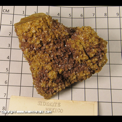 Mineral Specimen: Siderite from Mexico Mineral Specimen: Siderite from Mexico