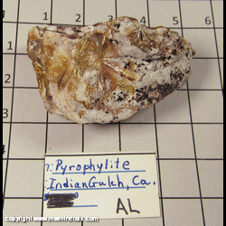 Minerals Specimen: Pyrophyllite from Indian Gulch Mine, Santa Cruz Mountain, Hornitos District, West Belt, Mariposa Co., California Minerals Specimen: Pyrophyllite from Indian Gulch Mine, Santa Cruz Mountain, Hornitos District, West Belt, Mariposa Co., California