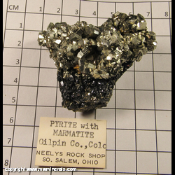 Mineral Specimen: Pyrite with Sphalerite variety: Marmatite from Gilpin Co., Colorado Mineral Specimen: Pyrite with Sphalerite variety: Marmatite from Gilpin Co., Colorado
