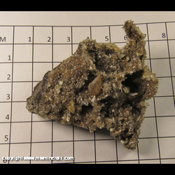 Minerals Specimen: Calcite with Included Hydrocarbons (Bitumen) from Maybee, Monroe Co, Michigan Minerals Specimen: Calcite with Included Hydrocarbons (Bitumen) from Maybee, Monroe Co, Michigan