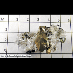 Mineral Specimen: Chalcopyrite, Quartz, Sphalerite from Sweetwater Mine, Reynolds Co,  Missouri