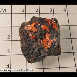 Mineral Specimen: Crocoite, Goethite from Red Lead Mine, Dundas, Tasmania, Australia Mineral Specimen: Crocoite, Goethite from Red Lead Mine, Dundas, Tasmania, Australia