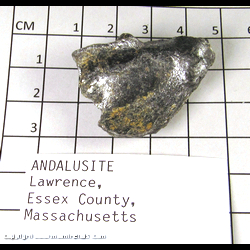 Mineral Specimen: Andalusite in Schist from Lawrence, Essex Co., Massachusetts