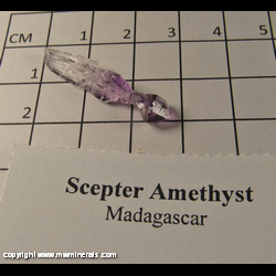 Minerals Specimen: Scepter Amethyst from Madagascar Minerals Specimen: Scepter Amethyst from Madagascar