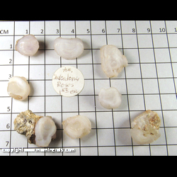 Mineral Specimen: Chalcedony Roses (buttons) some fluoresce green under SW from Arizona Mineral Specimen: Chalcedony Roses (buttons) some fluoresce green under SW from Arizona