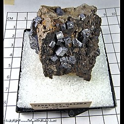 Mineral Specimen: Galena, Druze Quartz on Chert from Cherokee Co., Kansas