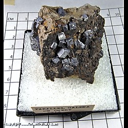 Mineral Specimen: Galena, Druze Quartz on Chert from Cherokee Co., Kansas Mineral Specimen: Galena, Druze Quartz on Chert from Cherokee Co., Kansas