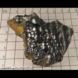 Mineral Specimen: Hematite from Iron Co., Michigan Mineral Specimen: Hematite from Iron Co., Michigan
