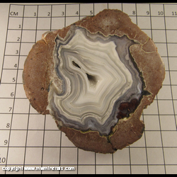 Mineral Specimen: Agate in Rhyolite (polished) from Chihuahua, Mexico Mineral Specimen: Agate in Rhyolite (polished) from Chihuahua, Mexico