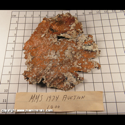 Minerals Specimen: Copper variety: Sheet from Keweenaw Peninsula, Michgain Minerals Specimen: Copper variety: Sheet from Keweenaw Peninsula, Michgain