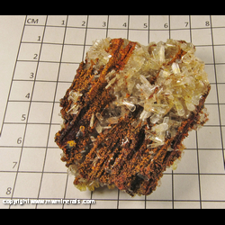 Mineral Specimen: Hemimorhite (Calamine) from Durango, Mexico