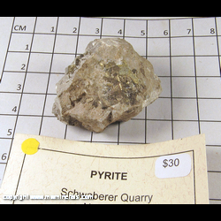 Mineral Specimen: Pyrite from Schwaberer Quarrym Nehawka, Cass Co., Nebraska