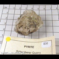 Mineral Specimen: Pyrite from Schwaberer Quarrym Nehawka, Cass Co., Nebraska Mineral Specimen: Pyrite from Schwaberer Quarrym Nehawka, Cass Co., Nebraska