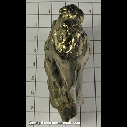 Mineral Specimen: Pyrite from American Aggregates Quarry, Indianapolis, Marion Co, Inidana Mineral Specimen: Pyrite from American Aggregates Quarry, Indianapolis, Marion Co, Inidana