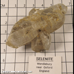 Minerals Specimen: Selenite from Wendelbury near Oxford, Oxfordshire, England Minerals Specimen: Selenite from Wendelbury near Oxford, Oxfordshire, England